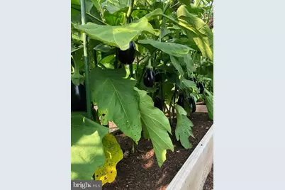 15700 Trapshire Court, Waterford, VA 20197 - Photo 103