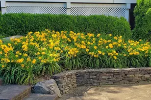 38607 Millstone Dr, Hillsboro, VA 20132 - Photo 59