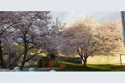 38607 Millstone Dr, Hillsboro, VA 20132 - Photo 101