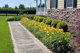 38607 Millstone Dr, Hillsboro, VA 20132 - Photo 83