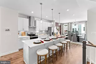 12346 Mystic Maroon Terrace, Ashburn, VA 20147 - Photo 3