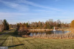 24111 Audubon Trail Dr, Aldie, VA 20105 - Photo 73