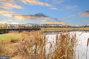 23611 Rose Leigh Terrace, Brambleton, VA 20148 - Photo 53