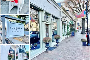 17 Stonewall Ct, Middleburg, VA 20117 - Photo 25