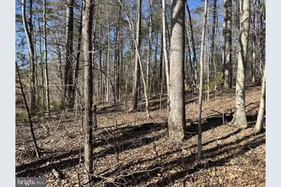 Tbd Duet Road, Madison, VA 22727 - Photo 5