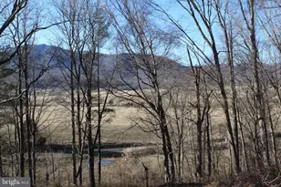 177 Church Hill Rd, Etlan, VA 22719 - Photo 33