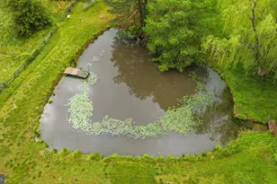 2188 Seville Rd, Madison, VA 22727 - Photo 51