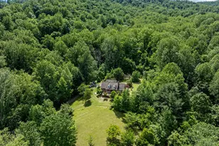 60 Mountain Breeze Ln, Syria, VA 22743 - Photo 45