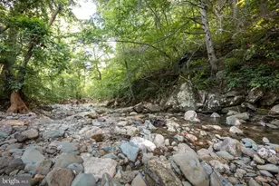 60 Mountain Breeze Ln, Syria, VA 22743 - Photo 31