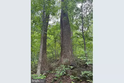 60 Mountain Breeze Lane, Syria, VA 22743 - Photo 81