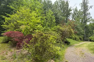 60 Mountain Breeze Ln, Syria, VA 22743 - Photo 57