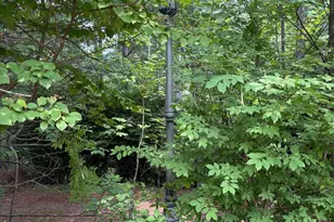 60 Mountain Breeze Ln, Syria, VA 22743 - Photo 63