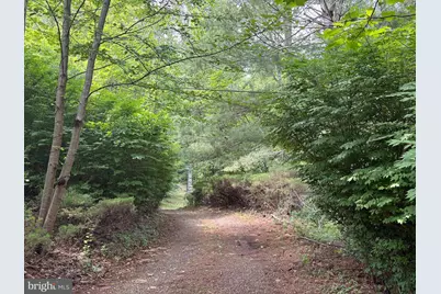 60 Mountain Breeze Lane, Syria, VA 22743 - Photo 67