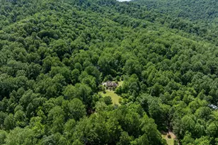 60 Mountain Breeze Ln, Syria, VA 22743 - Photo 43