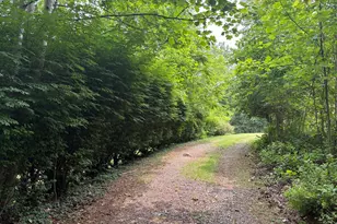 60 Mountain Breeze Ln, Syria, VA 22743 - Photo 65