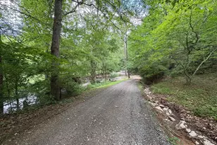 60 Mountain Breeze Ln, Syria, VA 22743 - Photo 49