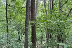 60 Mountain Breeze Ln, Syria, VA 22743 - Photo 79