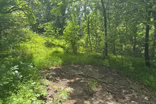 Tbd Mount Pisgah Church Dr, Orange, VA 22960 - Photo 13