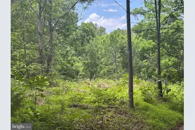 Tbd Mount Pisgah Church Dr, Orange, VA 22960 - Photo 11