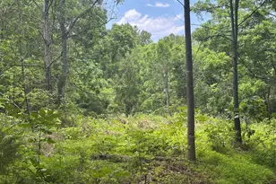 Tbd Mount Pisgah Church Dr, Orange, VA 22960 - Photo 11