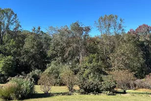 481 Malvern Dr, Madison, VA 22727 - Photo 33