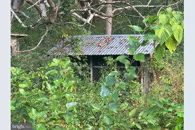 5424 N Seminole Trail, Brightwood, VA 22715 - Photo 35