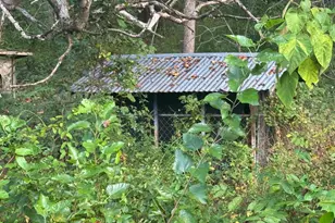 5424 N Seminole Trail, Brightwood, VA 22715 - Photo 35