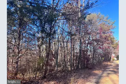 0 Main Uno Baptist Church Lane, Rochelle, VA 22738 - Photo 7