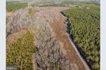 00 Hayes Mill Road, Boydton, VA 23917 - Photo 3