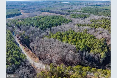 00 Hayes Mill Road, Boydton, VA 23917 - Photo 5