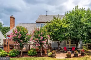 10176 Strawflower Ln, Manassas, VA 20110 - Photo 47