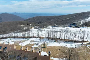 905 Diamond Hill, Wintergreen, VA 22967 - Photo 41