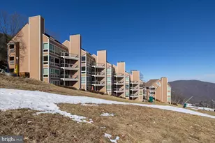 905 Diamond Hill, Wintergreen, VA 22967 - Photo 49