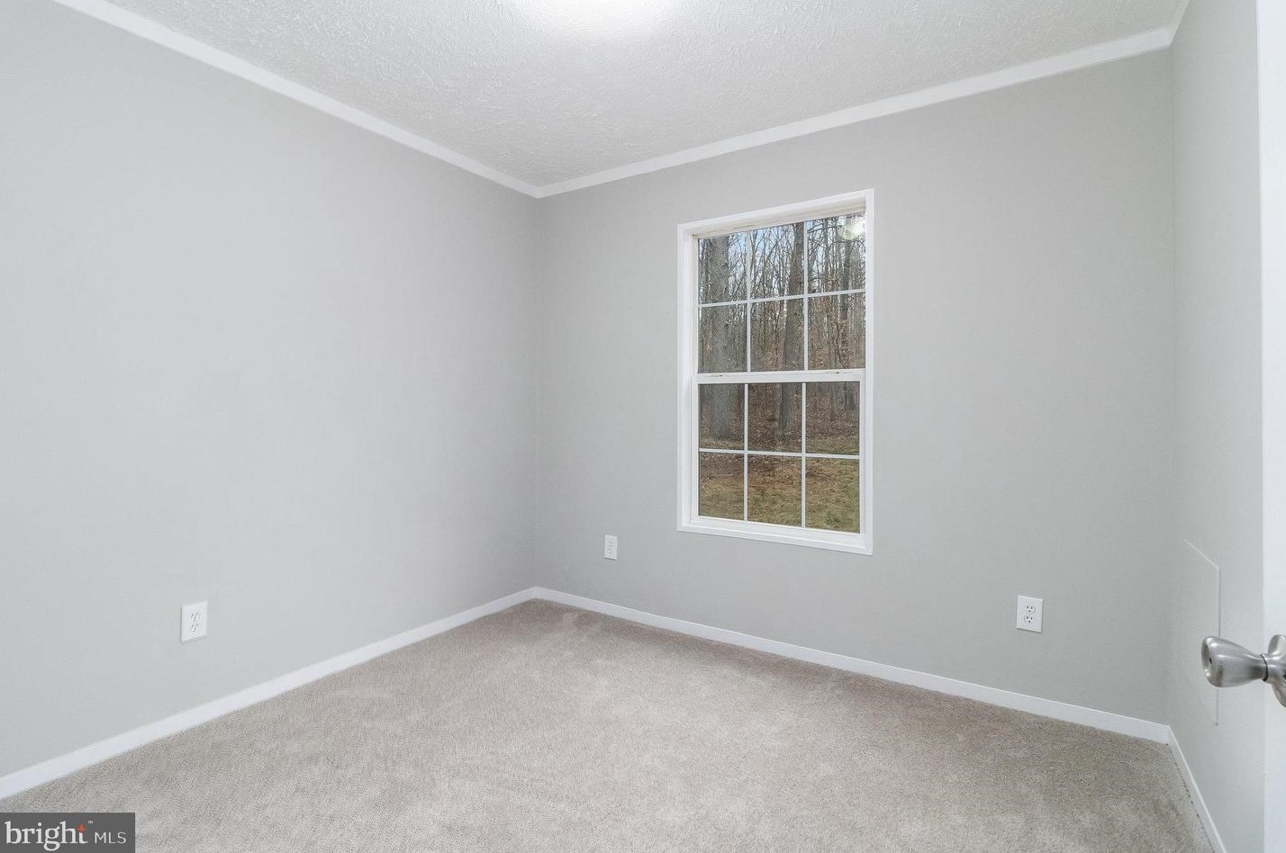 24138 Ida Mae Ln, Unionville VA  22567-2049 exterior