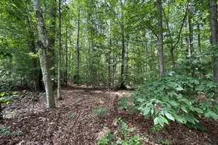 18184 Crawford Ln, Gordonsville, VA 22942 - Photo 67