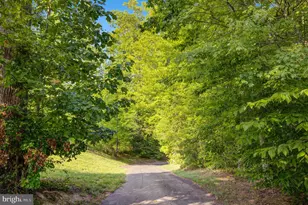 Lot 391 Cougar Ln, Locust Grove, VA 22508 - Photo 45