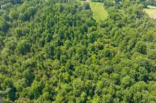 Hunters Ridge Ln, Unionville, VA 22567 - Photo 23