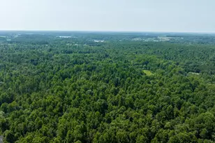 Hunters Ridge Ln, Unionville, VA 22567 - Photo 19