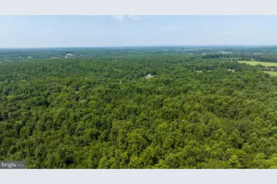 Hunters Ridge Ln, Unionville, VA 22567 - Photo 17