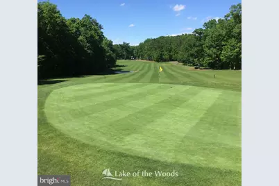 614 Cornwallis Avenue, Locust Grove, VA 22508 - Photo 81