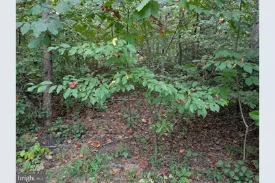 203 Battlefield Road, Locust Grove, VA 22508 - Photo 3