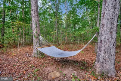 16180 Mountain Track Road, Orange, VA 22960 - Photo 51