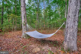 16180 Mountain Track Rd, Orange, VA 22960 - Photo 51