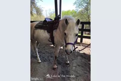 3800 Lakeview Parkway, Locust Grove, VA 22508 - Photo 49