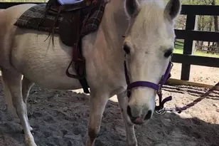 3800 Lakeview Pkwy, Locust Grove, VA 22508 - Photo 49