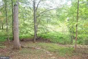 1111 Eastover Pkwy, Locust Grove, VA 22508 - Photo 53