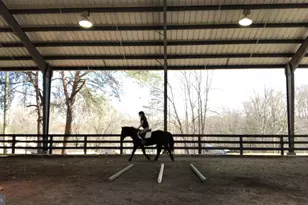 101 Monticello Cir, Locust Grove, VA 22508 - Photo 57