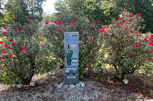 101 Monticello Cir, Locust Grove, VA 22508 - Photo 55