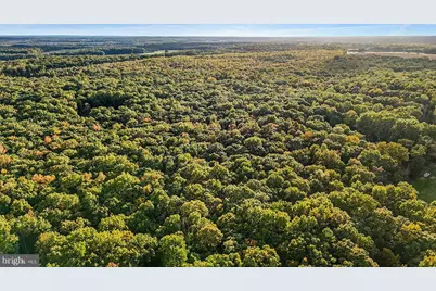 0 Old Plank Road, Locust Grove, VA 22508 - Photo 15