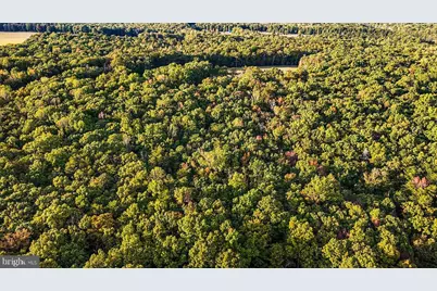 0 Old Plank Road, Locust Grove, VA 22508 - Photo 29